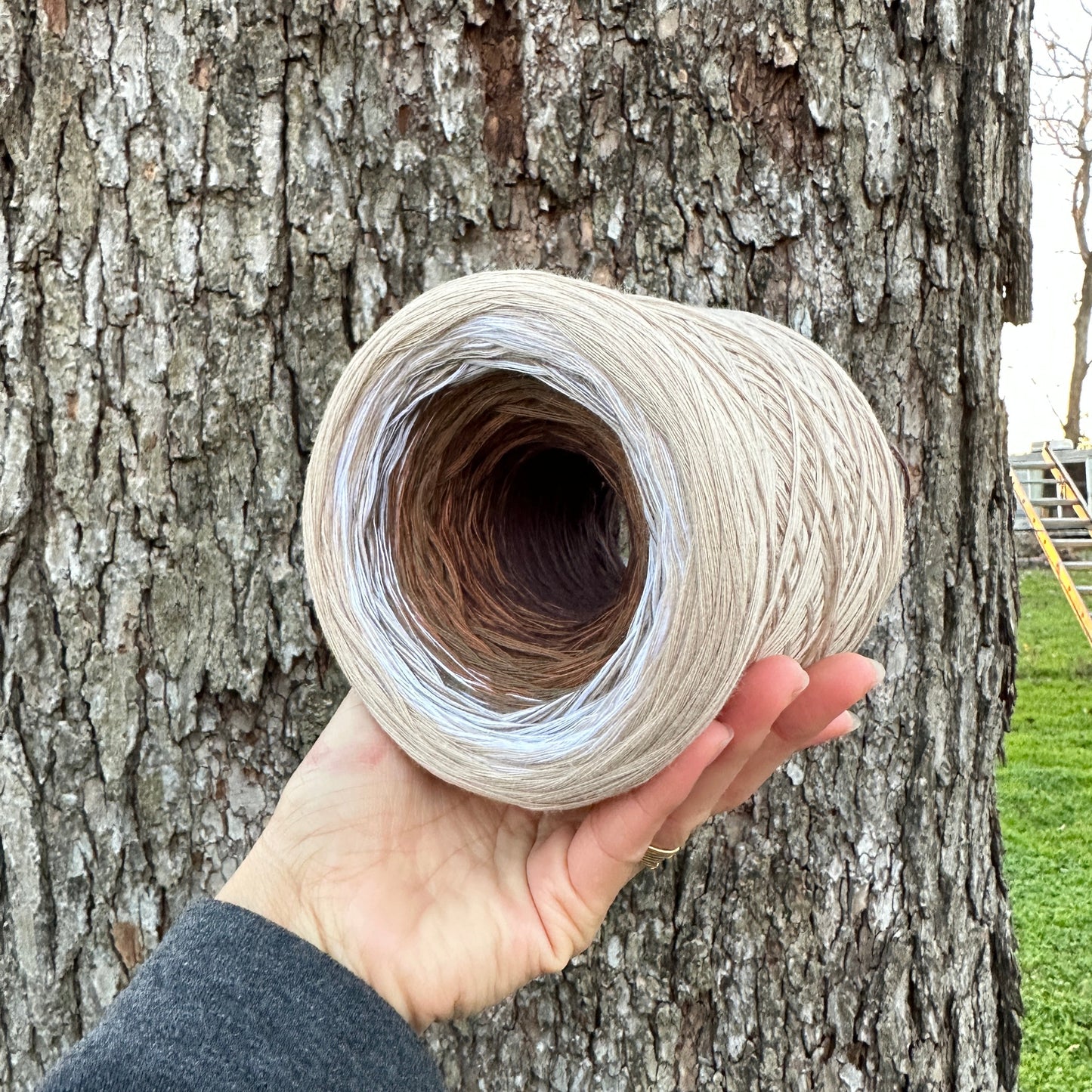 Color 2025, Gradient Cotton Natural Fiber Yarn - Rena'sThreadandCrafts