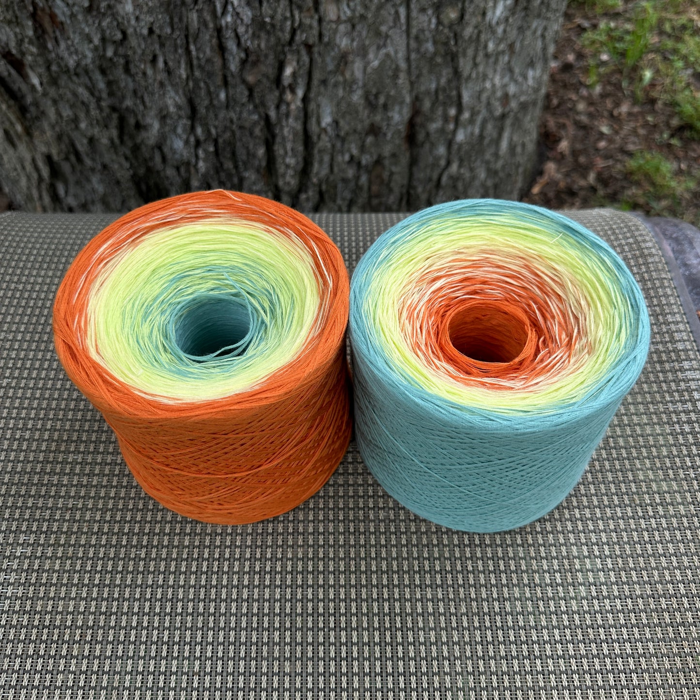 Eye of Sheba, Gradient Cotton Natural Fiber Yarn