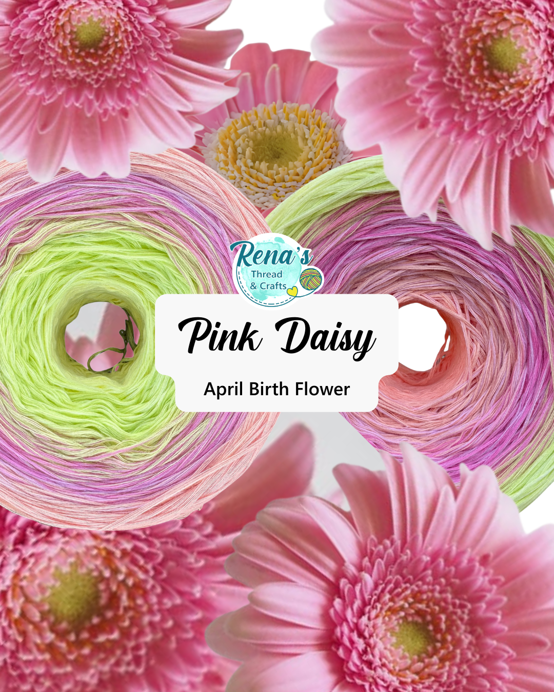 April - Daisy, Gradient Cotton Natural Fiber Yarn - Rena'sThreadandCrafts
