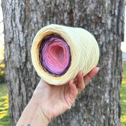 Iris , February Birth Flower, Gradient Cotton Natural Fiber Yarn - Rena'sThreadandCrafts