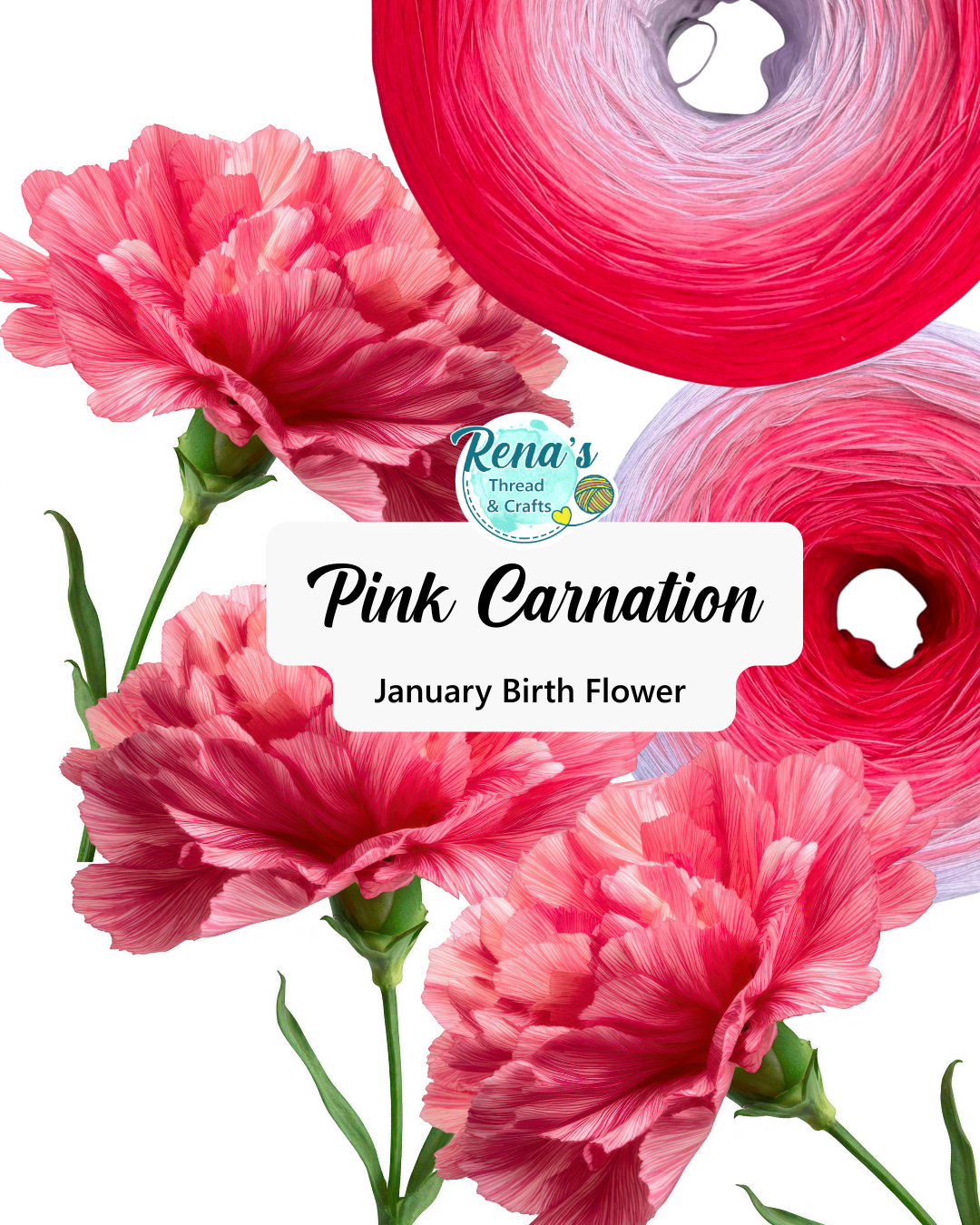 January - Carnation, Gradient Cotton Natural Fiber Yarn - Rena'sThreadandCrafts
