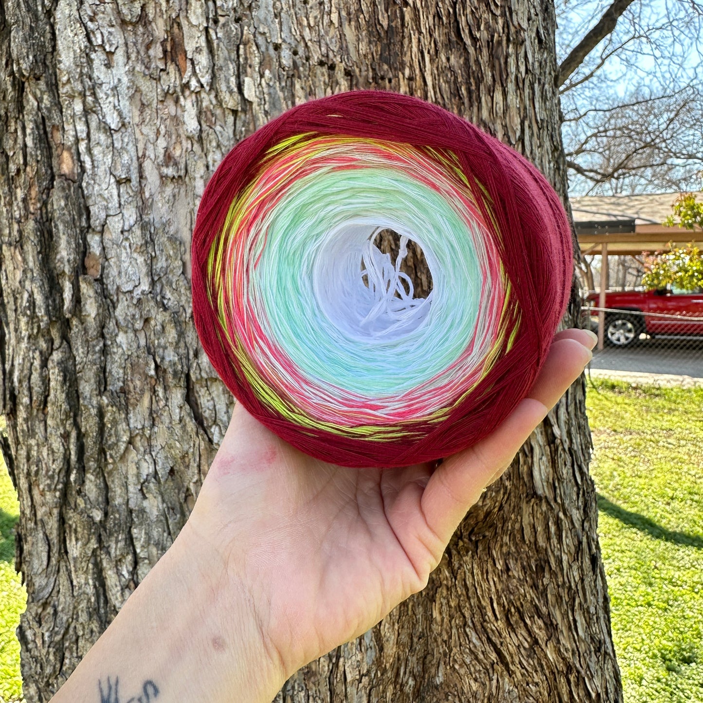 Narcissus, December Birth Flower, Gradient Cotton Natural Fiber Yarn - Rena'sThreadandCrafts