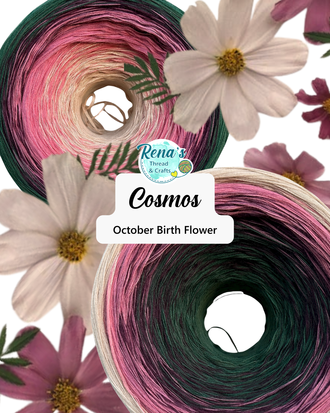 October - Cosmos, Gradient Cotton Natural Fiber Yarn - Rena'sThreadandCrafts